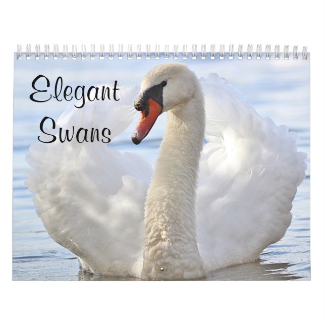 Elegante Schwäne Kalender (Titelbild)