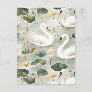 Elegante Schwäne Postkarte