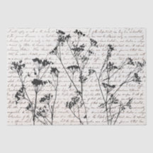 Elegante Schwarze Wildblume Silhouetten Altes Skri