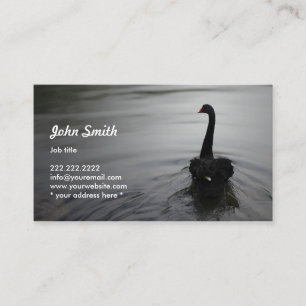 Elegante schwarzer Schwan-Schwimmen auf einer Visitenkarte