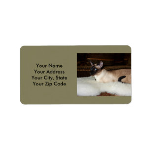 Elegante siamesische Katze Adressaufkleber