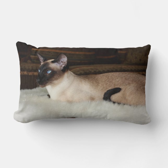 Elegante siamesische Katze Lendenkissen (Vorderseite)