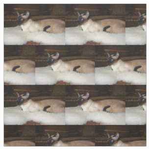 Elegante siamesische Katze Stoff