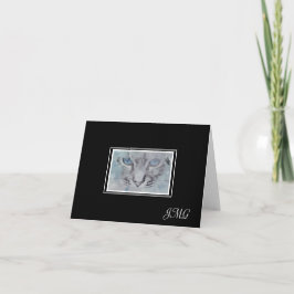 Elegante silbergraue Katze auf schwarzem Hintergru