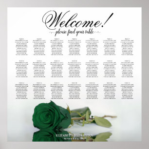 Elegante Smaragdgrüne Rose 21 Tafelübersicht Poster
