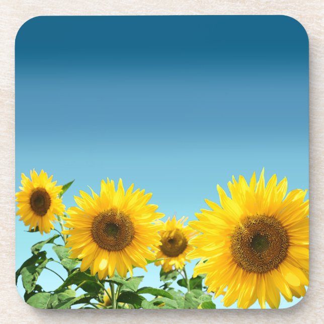 Elegante Sonnenblumen auf Sky Blue Shades Getränkeuntersetzer (Vorderseite)