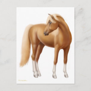 Elegante Sorrel Pferde Postkarte