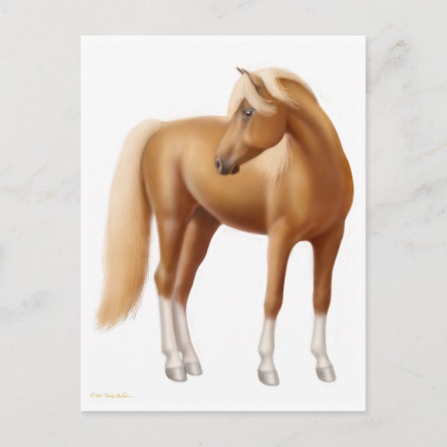Elegante Sorrel Pferde Postkarte (Vorderseite)