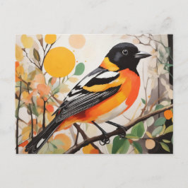 Elegante Spring Bird Baltimore Oriole Postkarte