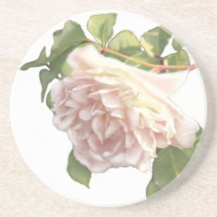 Elegante, staubige, orange Rose Getränkeuntersetzer