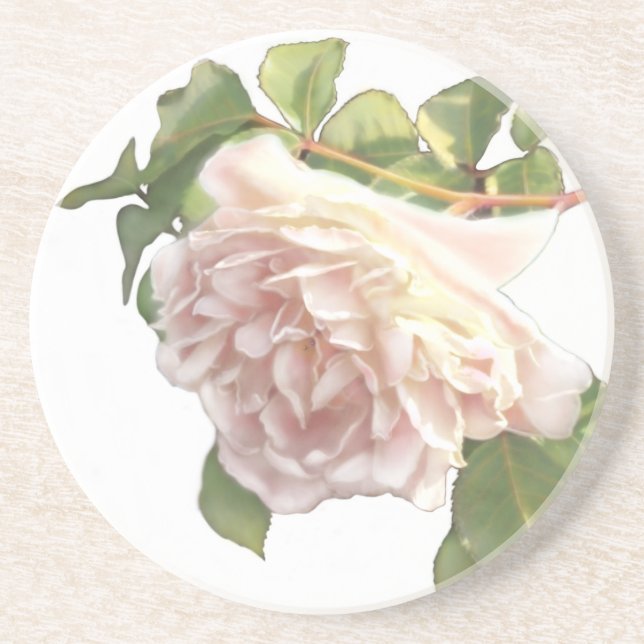 Elegante, staubige, orange Rose Getränkeuntersetzer (Vorne)