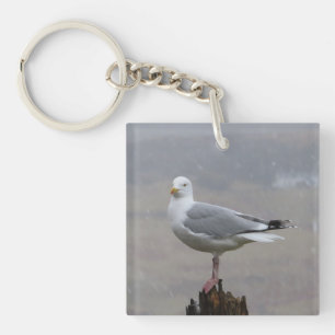 Elegante stehende Möwe Einzigartige Küste Schlüsselanhänger