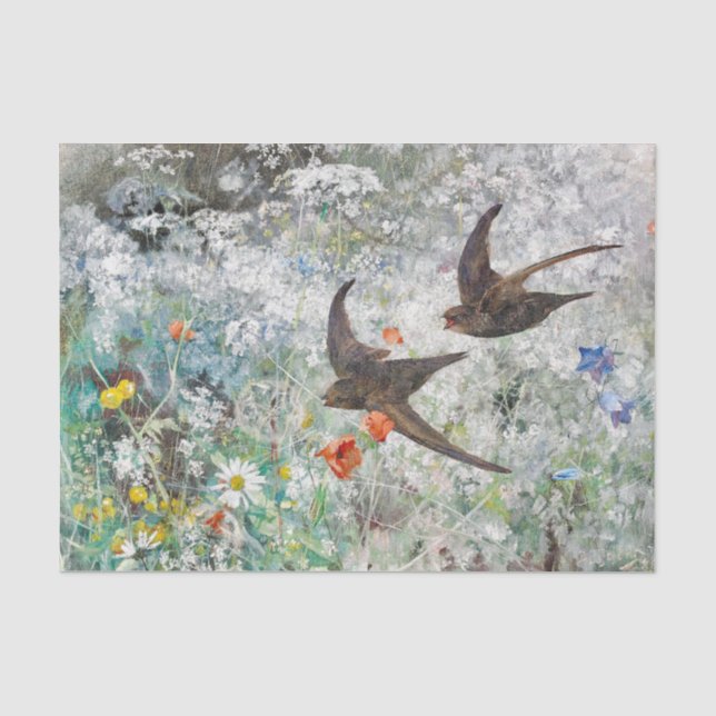 Elegante Swifts Frühlingsflug Entdeckungsreise Seidenpapier (Vorderseite)