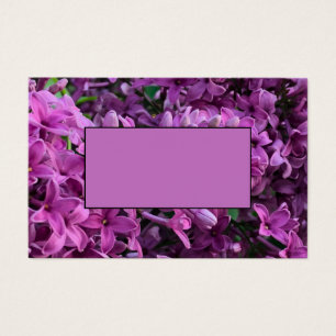 Elegante tiefe lila magentafarbene Blumen Blume li