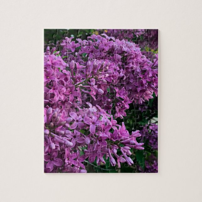 Elegante tiefe lila magentafarbene Blumen Blume li (Vertikal)