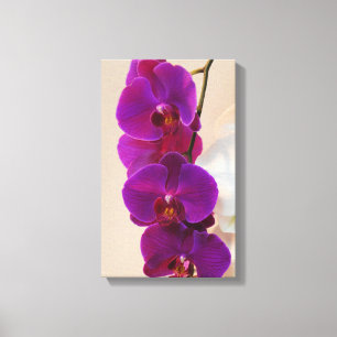 Elégante Toile Enveloppée D'Orchidées Violettes