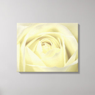 Elégante toile murale Rose crème