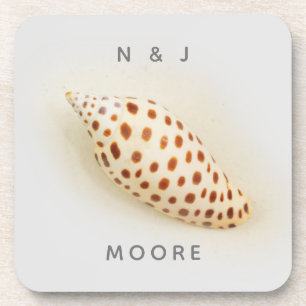 Elegante Tropical Junonia Florida Beach Muschel Na Getränkeuntersetzer