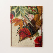 Elegante tropische Ephemera