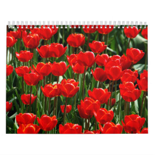 Elegante Tulip und Rose Floralische Blume Fotograf Kalender