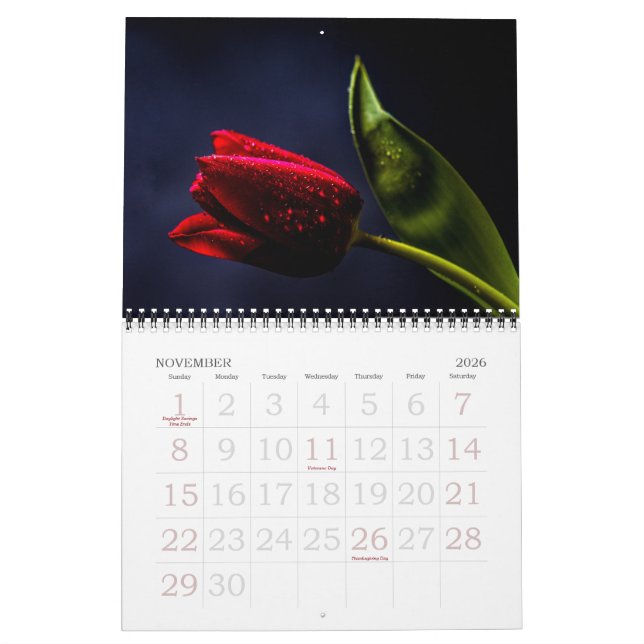 Elegante Tulip und Rose Floralische Blume Fotograf Kalender (Nov 2026)