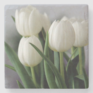 Elegante Tulip und Rose Floralische Blume Fotograf Steinuntersetzer