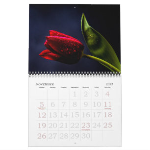 Elegante Tulpen- und Rosen-Blumenfotografie Kalender
