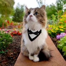 Elegante Tuxedo-Bandana mit verstellbarer Bowtie
