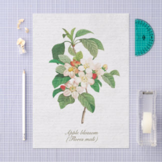 Elegante Vintage-Blüten des Apfelbaums Seidenpapier