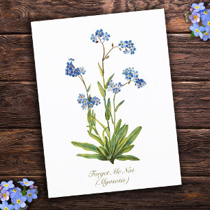 Elegante Vintage-Botanik-Vergissmeinnicht-Blume Postkarte
