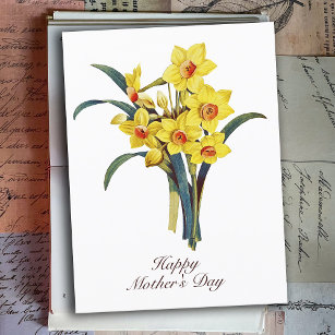 Elegante Vintage botanische Blume Gelbe Daffodien Postkarte