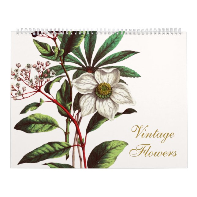 Elegante Vintage botanische Blume Kalender (Titelbild)