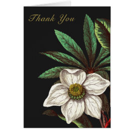 Elegante Vintage botanische Rose Blume