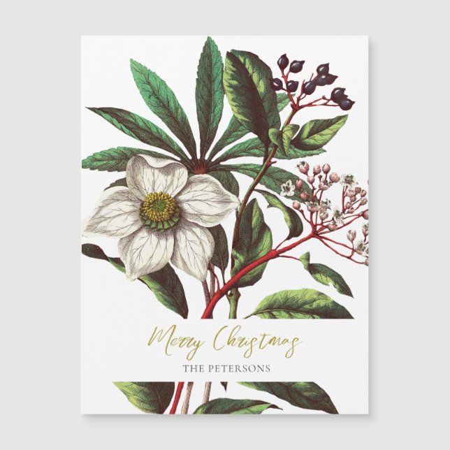 Elegante Vintage botanische Rose Blume Magnetkarte (Vorderseite)
