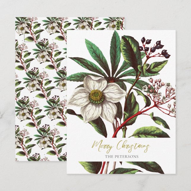 Elegante Vintage botanische Rose Blume Postkarte (Vorne/Hinten)