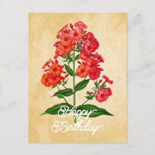 Elegante Vintage-Hybride Phlox-Blume Alles Gute zu Postkarte