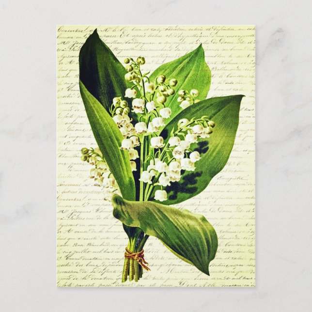 Elegante Vintage Lilie über das Tal Blume Postkarte (Vorderseite)