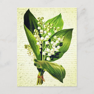 Elegante Vintage-Maiglöckchen-Blumen Postkarte