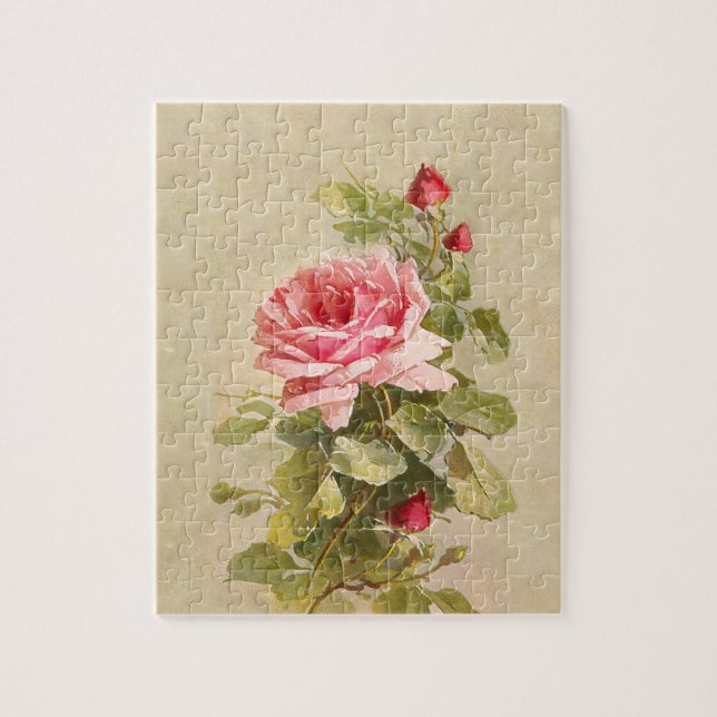 Elegante, Vintage Rosa Rosen (Vertikal)