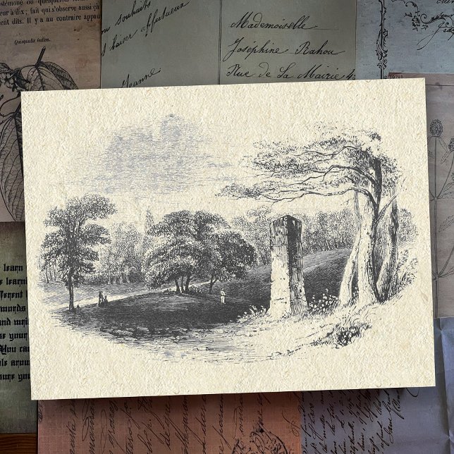 Elegante Vintage Schwarz-weiße Landschaft Postkarte (Von Creator hochgeladen)