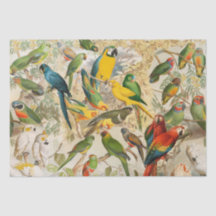Elegante Vintage tropische Vogelparroten