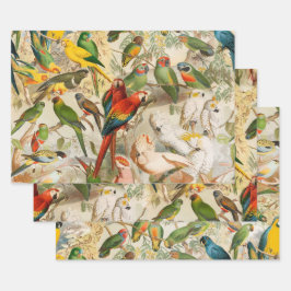 Elegante Vintage tropische Vogelwelten Geschenkpapier Set