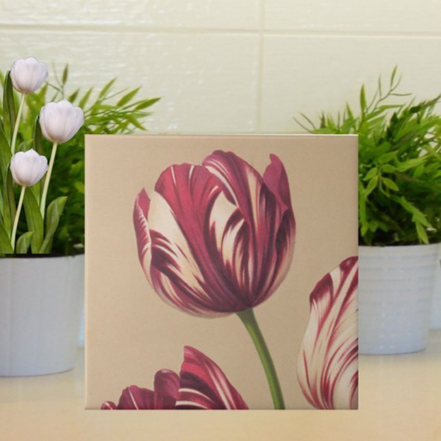 Elegante Vintage Tulip Fliese (An elegant floral botanical tile featuring vintage Dutch tulips.)
