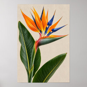 Elegante Vintage-Vogelparadies-Blumenwandkunst – Poster