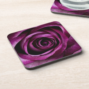 Elegante violette Rose Nahaufnahme Getränkeuntersetzer