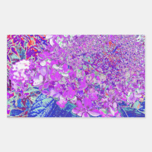 Elegante violette und blaue Limelight-Hortensie Rechteckiger Aufkleber