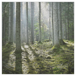 Elegante Waldmorgenszene Stoff