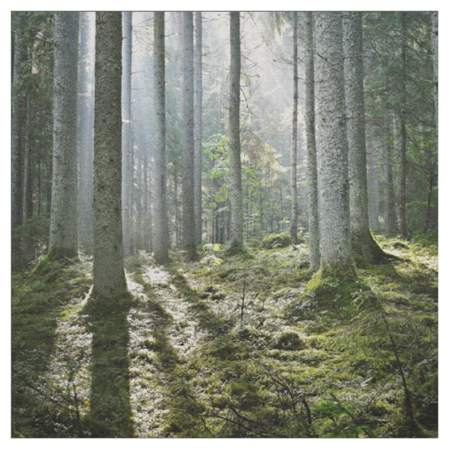 Elegante Waldmorgenszene Stoff (Muster)