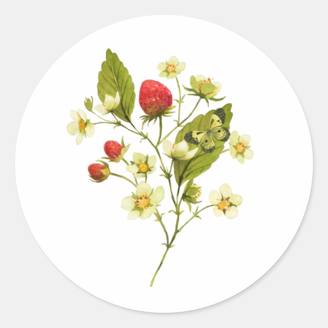 Elegante Wasserfarbe Erdbeere Pflanze mit Blume Runder Aufkleber (Vorderseite)