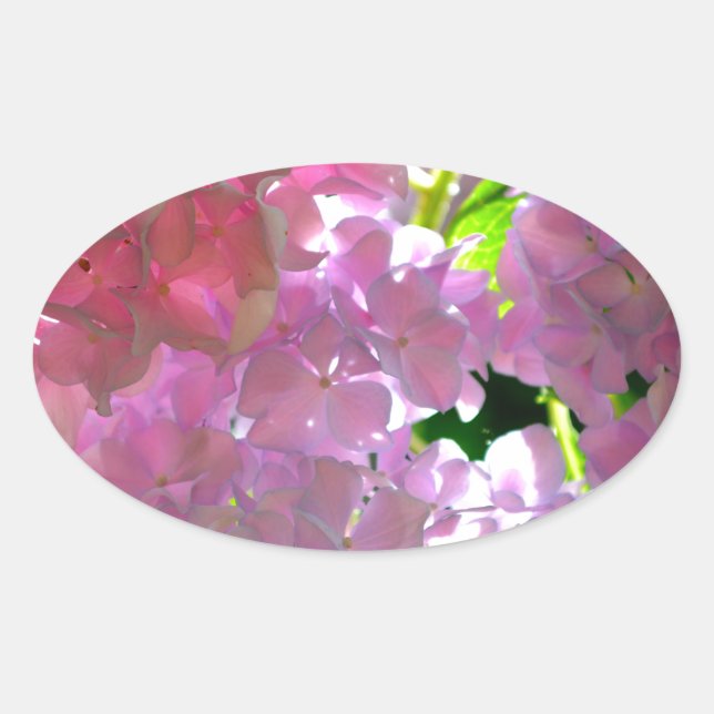Elegante weiche rosa Blumen rosa Hydrangeas-Rose Ovaler Aufkleber (Vorderseite)